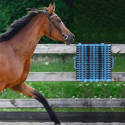 Reitbürste für Pferde und Haustierpflegewerkzeug für Hunde und Katzen