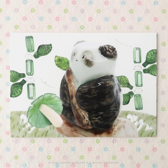 I Live With Six Cats Postcard 4th 5 Types Choose 1, a popular phrase in Korea