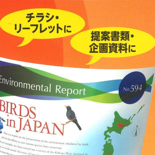 KOKUYO Color Laser Color Copy Matte Paper 100 Sheets LBP-KF1110