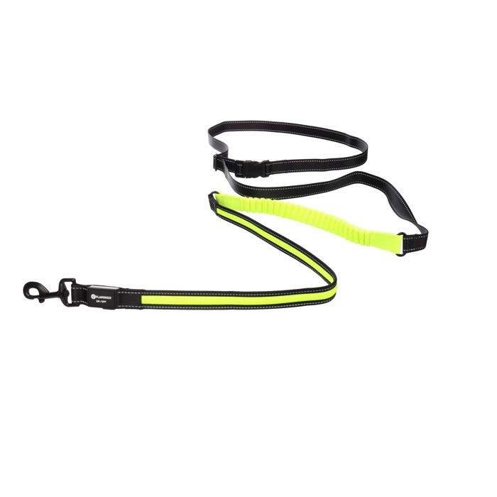 Laisse de jogging mains libres - EDEN - Flitzy - Bande LED visible 300 m - Ceinture réglable 70–160 cm - Élastique anti-chocs
