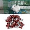 Animais de criação – Louça para animais