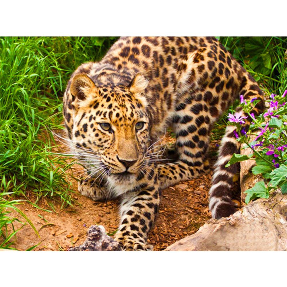 Full 5D Diamond Painting Animals and Women DIY Diamond Embroidery Diamond Mosaic Cross Stitch Kits Home Decor Gift