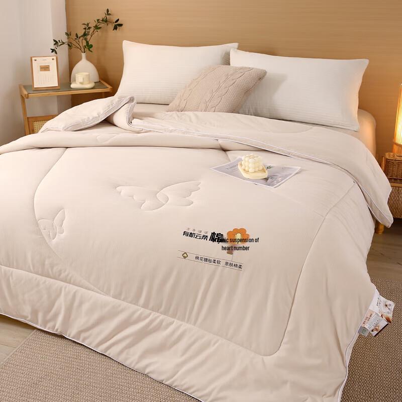 You Meng Jia Ju Organic Cloud Soft 9-Hole Comforter