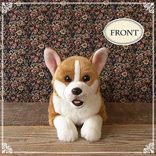 Ninian and Kino Plush Dog, Realistic Lying Down, Approximately 40cm Long, Pet (Corgi)