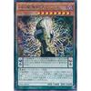 Yu-Gi-Oh! OCG DD Sorcerer Sage Thomas Rare TDIL-JP010-R Yu-Gi-Oh! Arc-V The Dark Illusion
