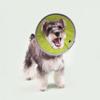 Anti-bite Cat Cone Collar Lightweight Pet Protective Cover Cat Wound Recovery Sleeve  Recovery