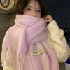 Korean Atmosphere Imitation Cashmere Tassel Scarf Women's New Autumn and Winter Warm and High End Versatile Scarf