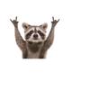 Acrylic Raccoon Rearview Mirror Hanging Ornament