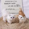 Toy Baby Toy Fake Cat Artifical Animal Soft Simulation Cat Stuffed Kitten Plush Cat Toys Cat Model