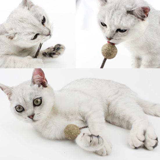 Lutscherform Katzenminze Ball Katzenspielzeug Kätzchen Zähneputzen Snack Silberrebe Stick