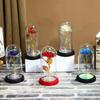 Valentine's Day Immortal Flower Glass Cover Colorful Rose Led Light Desktop Ornament, Birthday Gift Spot