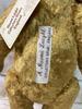[USED] Naomi Light Angus ENGLAND Teddy Bear, Hard To Find, Extremely Rare