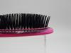 Dubois Cushion Brush Anti-Static
