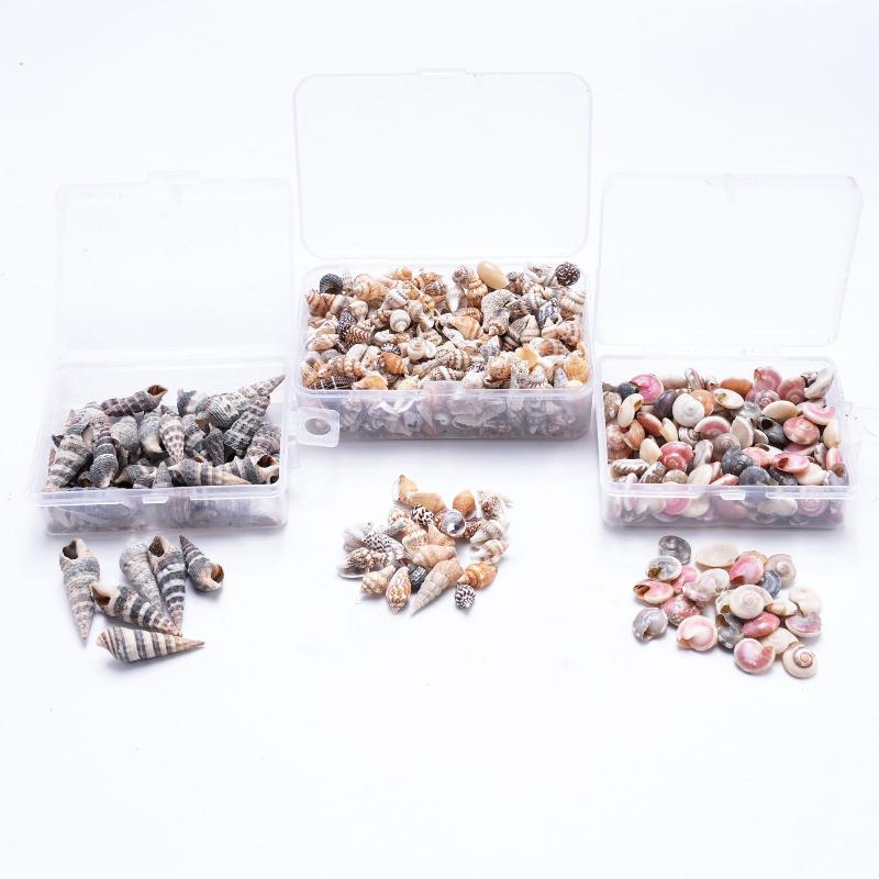1 Box Sea Shells Spiral Shell Tiny Ocean Spiral Seashells Crafts Aquarium Decoration Landscaping Accessories Photography Props