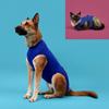 Medical Protection Shirt - KVP - Recova Shirt - Size M - Dog - Blue
