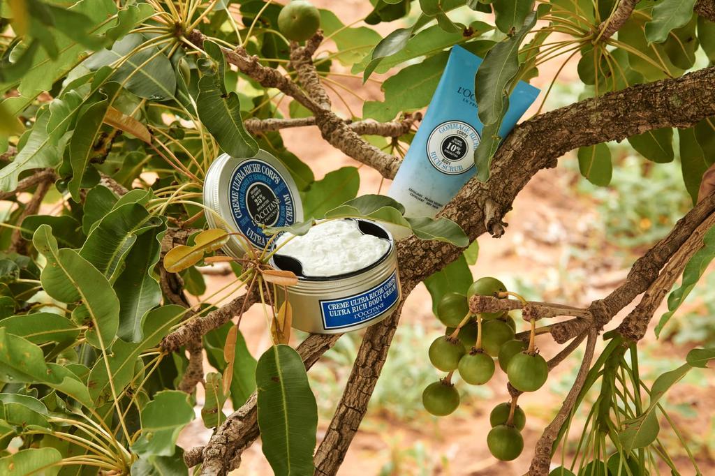 Shea Rich Body Cream 200ml 200ml L'OCCITANE (x 1)