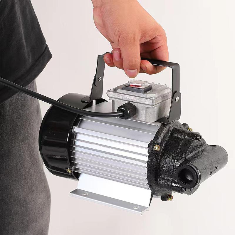 220V 750W Car Electrical Self-priming Portable Micro Gear Oil Oil Transport Pump Oil Filling Machine Electric Oil Transport Pump