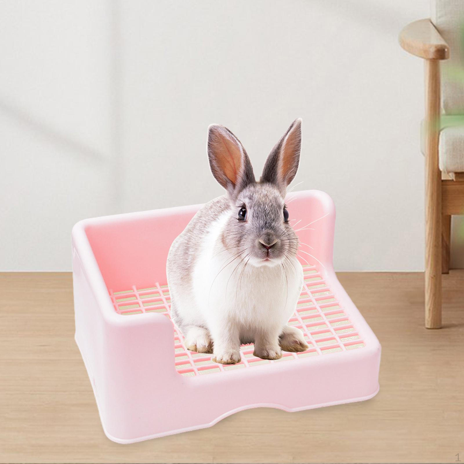 

Box for Small Animals And Hamsters рожевий