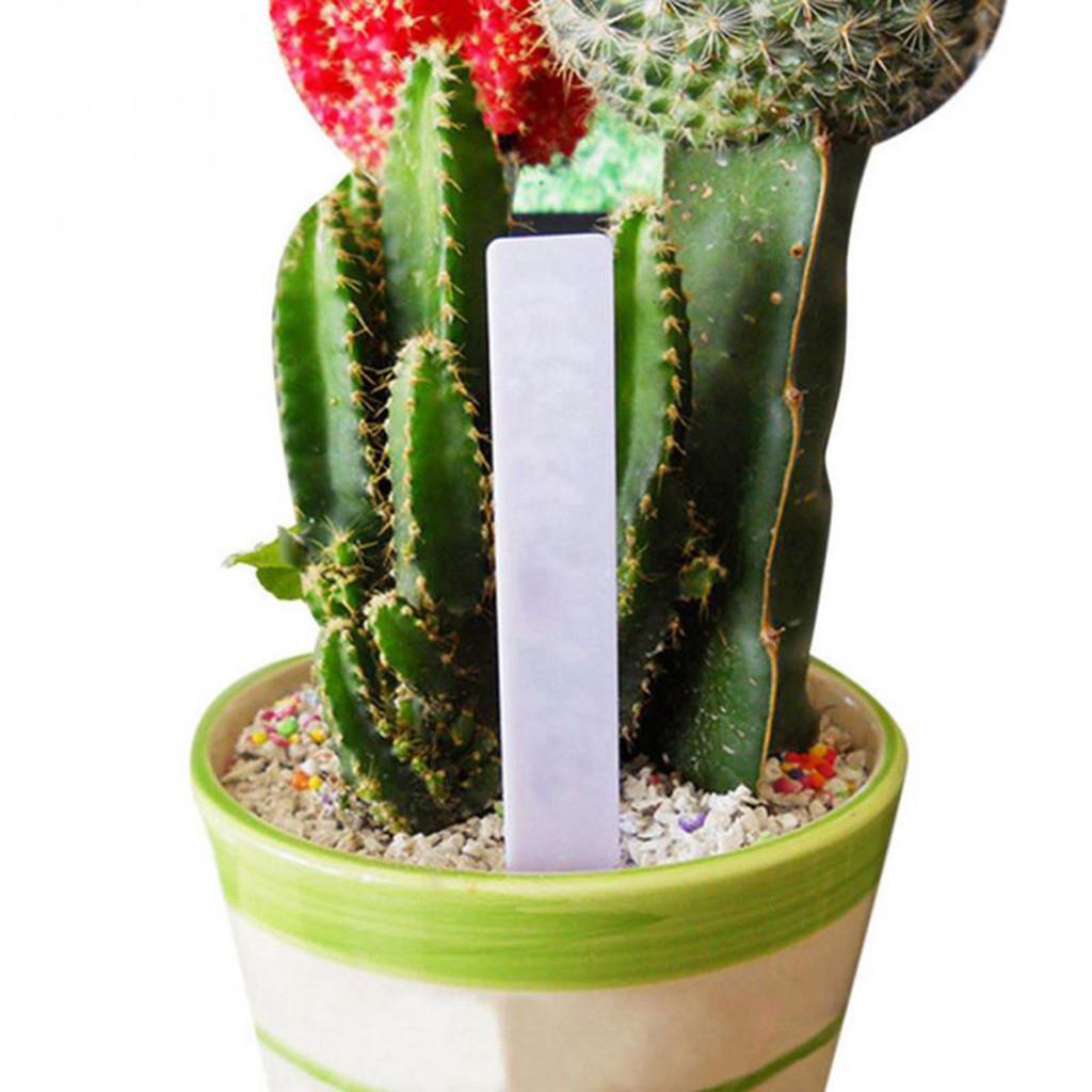 100 szt. Plastikowe Etykiety Doniczka Szkółka Ogród Paliki Znaczniki 10cm x 2cm