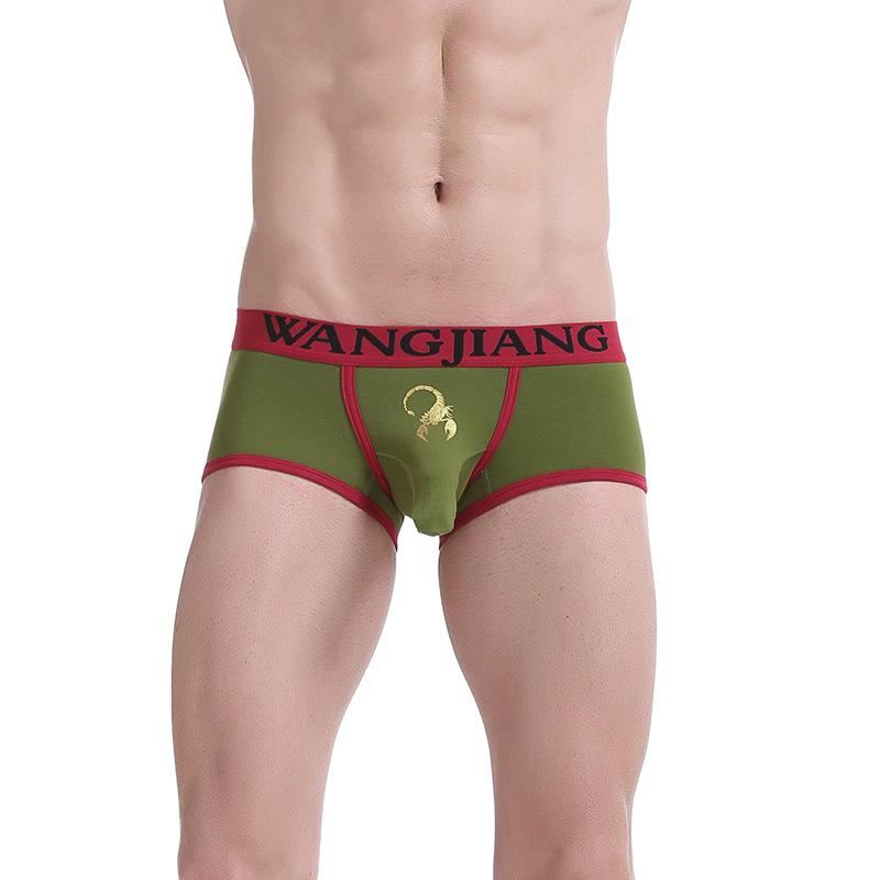 Men's Trendy Elephant Trunk Cotton Boxer Briefs (1027B)