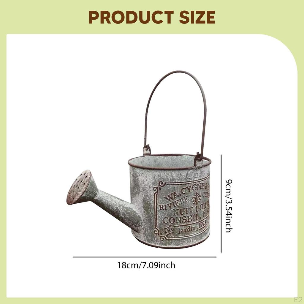Vintage Metal Watering Can Plants Pot Gift Indoor Outdoor Decoration Decorative Waterer