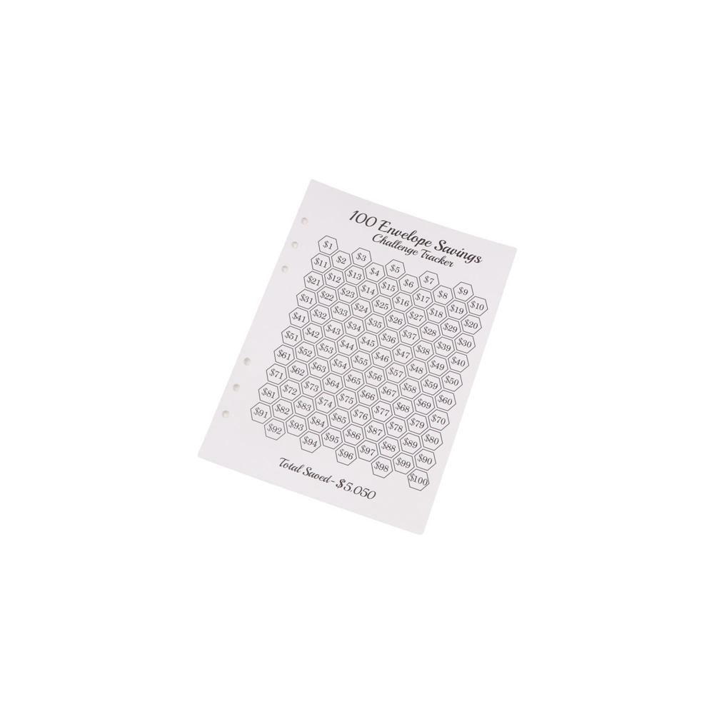 Financial Management 100 Envelope Challenge Binder  Couple Money Savings