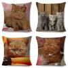 Housse de coussin British Shorthair bleu russe, taie d'oreiller en Polyester, décoration de chat mignon, Animal de compagnie, pour canapé, maison, voiture