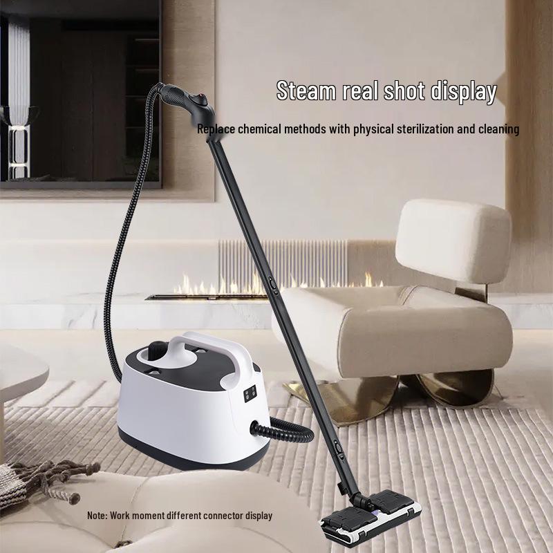 High-Temperature Steam Cleaner for Home, Auto Use, Formaldehyde Removal, & European/American Standards