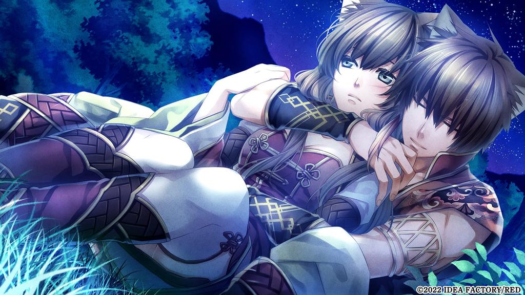 Thirteen Chapters Engetsu Sangokuden 1 and 2 for Nintendo Switch