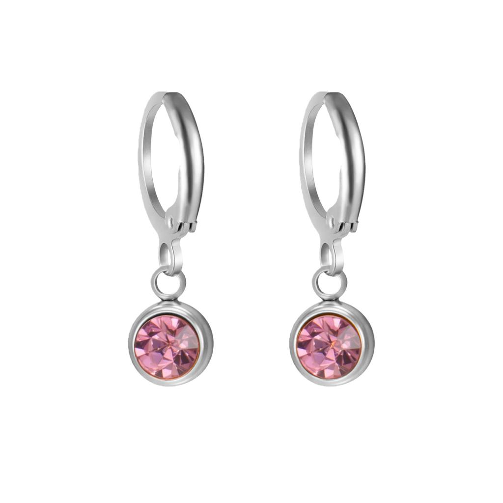 Birthstone Earrings Hoop Earrings Girl Women Stainless Steel Jewelry Family Friend Birthday Valentine's Day Gifts 2025 Trend