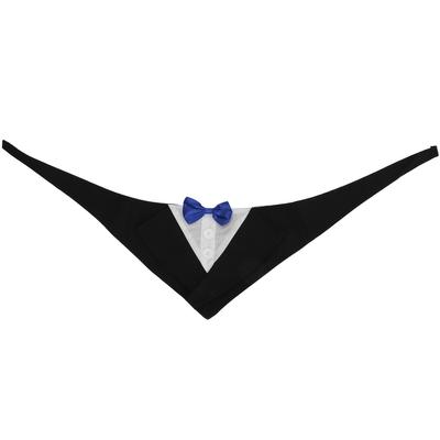 Ropa y calzado – Accesorios para perros