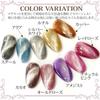 Nail Recipe Galaxy Farbgel Set mit Magnetgel (10-Farben-Set mit zylindrischen Magneten)