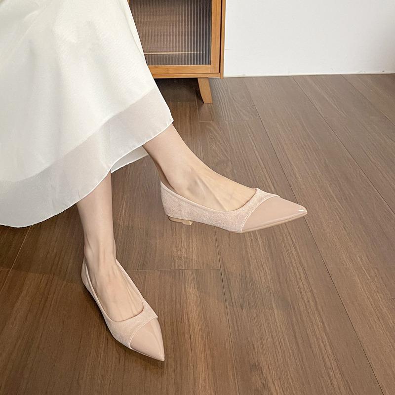 Flat Pointed-toe Single Women's Shoes