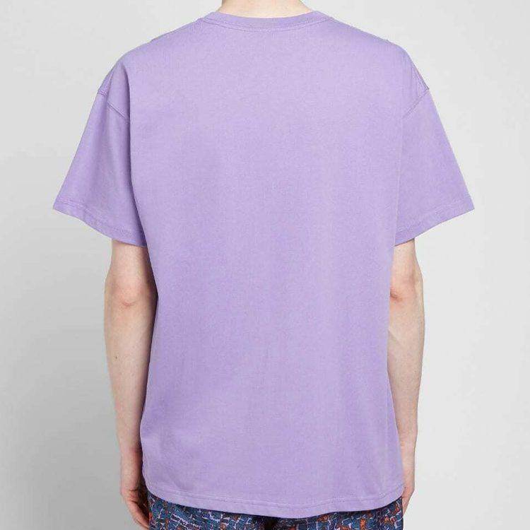 Nike ACG T Shirts Men's Light Purple Crew Neck Moderate Straight Fit BQ7342-567