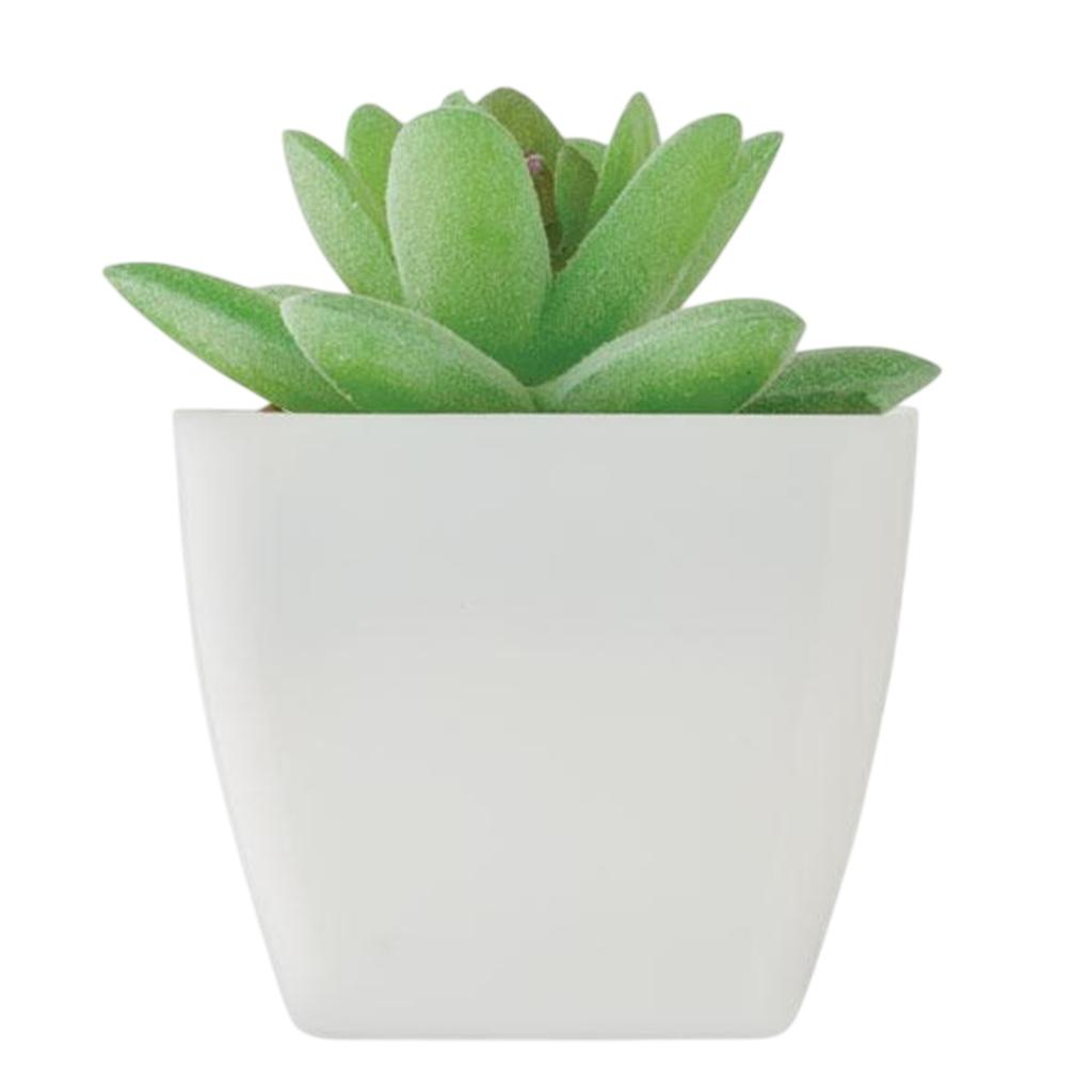 MidOcean Artigrap Graptopetalum Paraguayense Artificial Plant