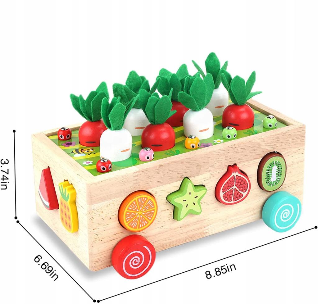 Sorter Montessori Carrello in Legno Verdura Insetti Tirare Giocattolo Educativo 3+