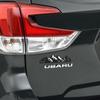 7 Inch Sneeuwberg Boom Embleem, Kofferbak Achterklep Bergen Grafische Badge Sticker past voor Auto Vrachtwagen Racen SUV Pick-up