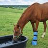 Practical PVC Hoof Soaking Boot Adjustable Durable Horse Soaker Bag with Elastic Band Hoof Care Hoof Waterproof Bag Veterinary