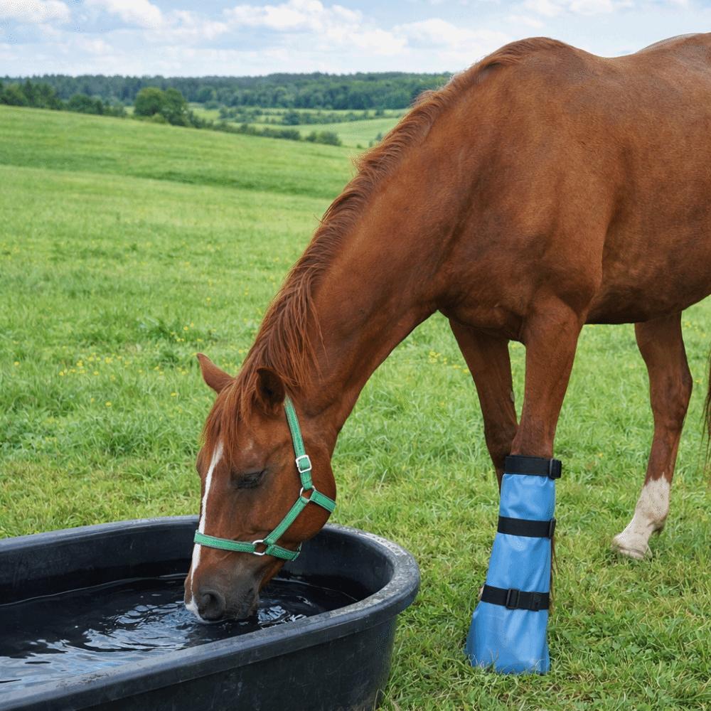 Practical PVC Hoof Soaking Boot Adjustable Durable Horse Soaker Bag with Elastic Band Hoof Care Hoof Waterproof Bag Veterinary