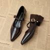Designer Vintage Pointed Toe Women Mary Jane Shoes Fashion Shallow Buckle Shoes Ladies Elegant Dress Thick Heel Shoes