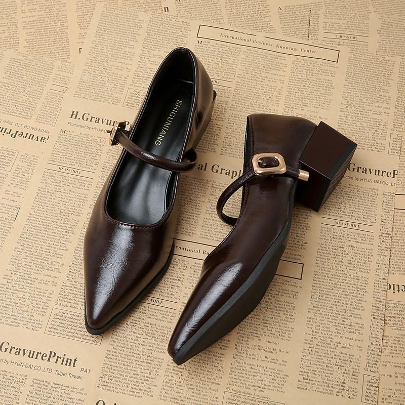 Designer Vintage Pointed Toe Women Mary Jane Shoes Fashion Shallow Buckle Shoes Ladies Elegant Dress Thick Heel Shoes