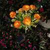 Solar Powered LED Rose Garden Stake Light