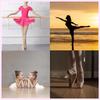 SCGEHA Ballet Dancewear, Plus Size Leotard, Dance Skirt, Tutu, Short Sleeves (XXL)