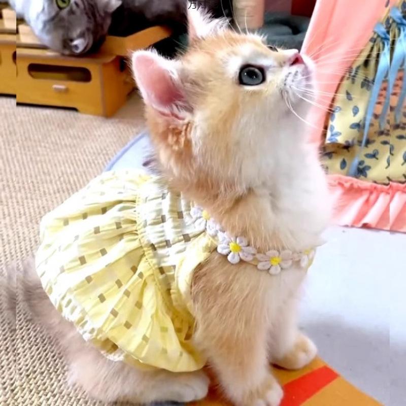 Pretty Small Cat Dress Summer Cute Small Dog Skirt Thin Yellow Collar Mini Puppy Princess Dress Cat Skirt