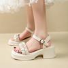 Fashion Pleated Pu Leather Platform Sandles Women 2025 Fashion Crystal Thick Sole Sandals Woman Ankle Strap High Heeled Sandals Female
