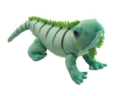 הסר איגואנה ירוקה M