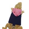 Adjustable Lizard Rope Bearded Dragon Lizard Hoodie Canvas Colorful Reptile Outdoor Chest Harness Comfort with Leash