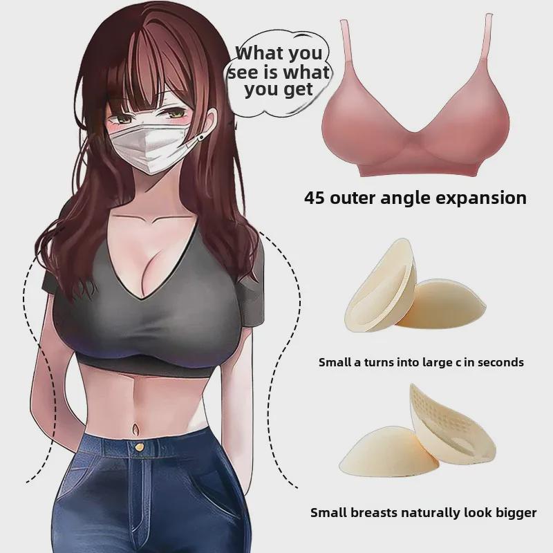 Seamless Padded Bra for Women with Small Busts - Wire-Free with Waist Slimming Design