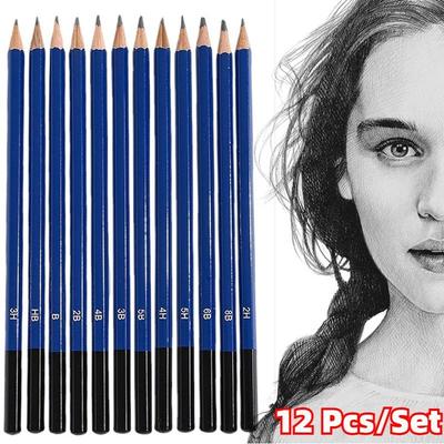 12-teiliges Set mit professionellen Zeichen- und Skizzierstiften, Skizzenstiften, Graphit-Schattierungsstiften für Anfänger und professionelle Künstler