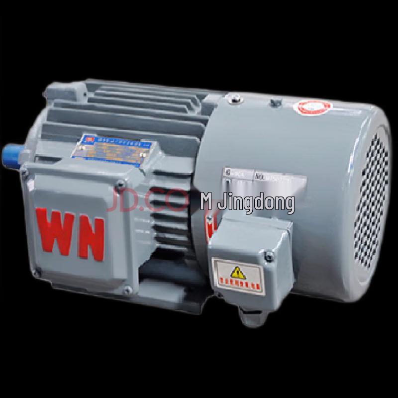 WNM YXVF Series Variable Frequency Motor CN plug (adapter included)